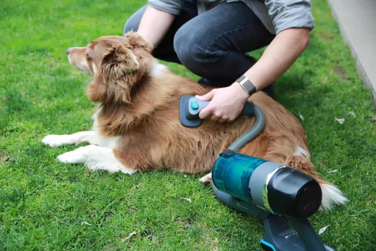 aspiradora para mascotas eliminando pelos de sofá y piso