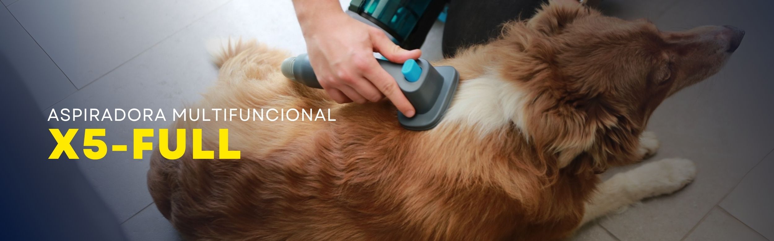 Imagen de diapositiva
