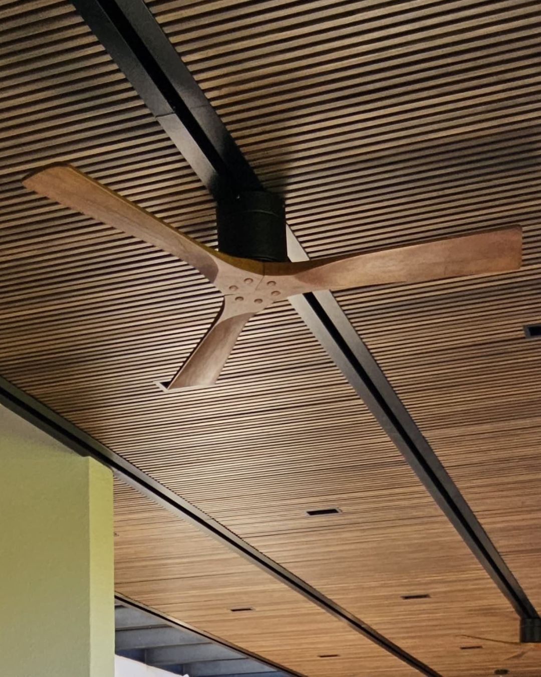 Ventiladores de techo