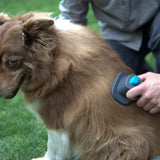 Cepillo para Mascotas Aspiradora Inalámbrica X5-Full PRIMATERM