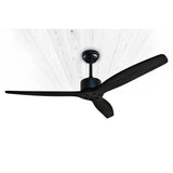 Pack 2 Ventilador de techo Aviador negro